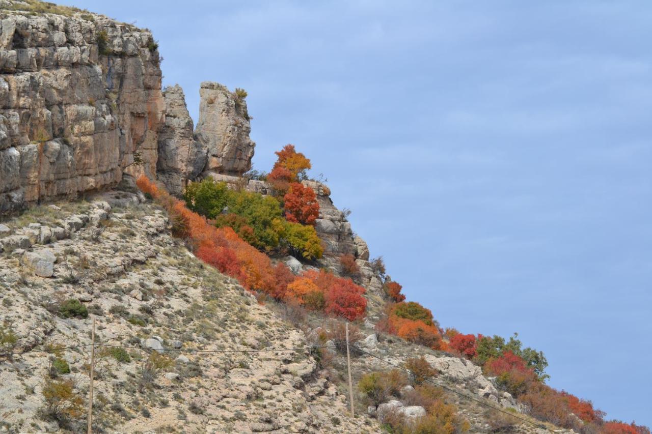 Villarroya de los PinaresCasa Elpatiodelmaestrazgoアパートメント エクステリア 写真